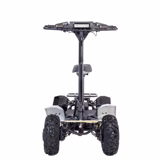 6000W60V 3000W 60V 電動 ATV クワッドバイクオフ