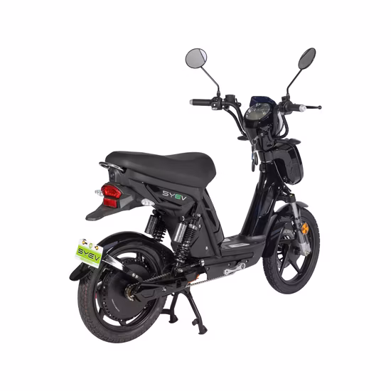 Syev EEC 電動スクーター 大人用 800W ブラシレス DC モーター付き 神雲